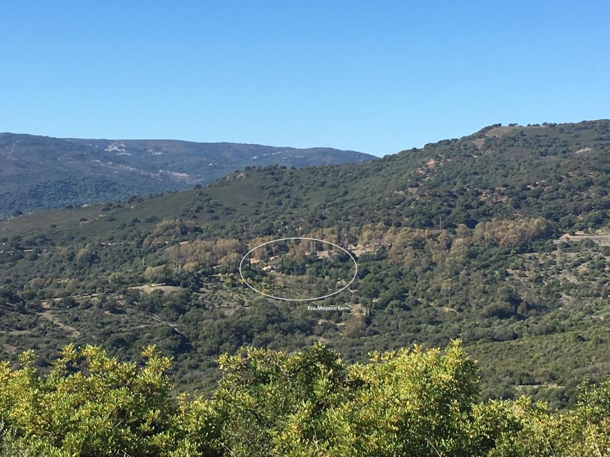 Eco Moyano Posada 가우신 외부 사진