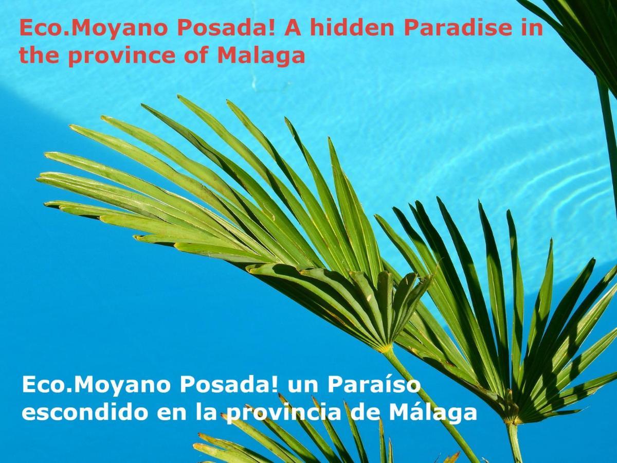 Eco Moyano Posada 가우신 외부 사진