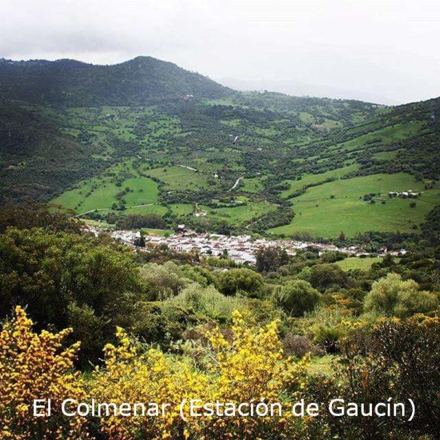 Eco Moyano Posada 가우신 외부 사진