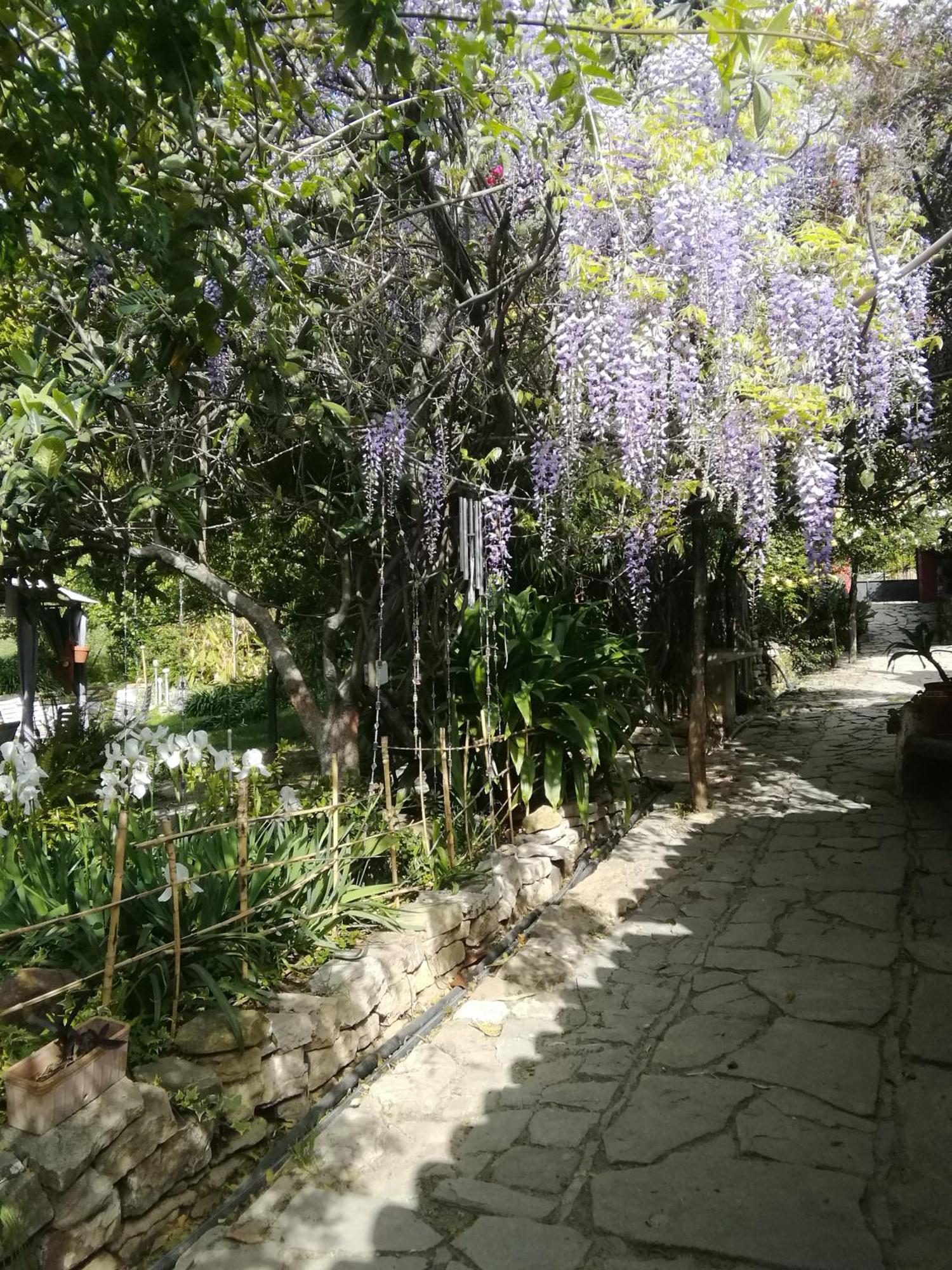 Eco Moyano Posada 가우신 외부 사진