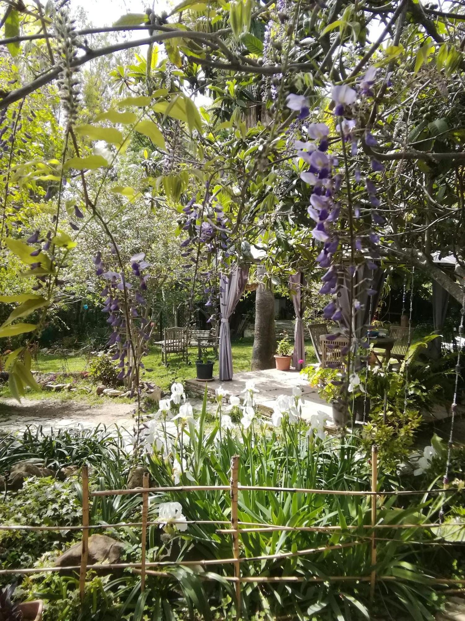 Eco Moyano Posada 가우신 외부 사진